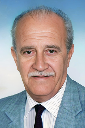 Taha El-Amiri photo