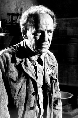 Notis Peryalis photo