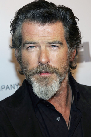 Pierce Brosnan photo