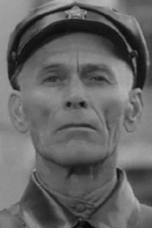 Nikolay Voronin photo