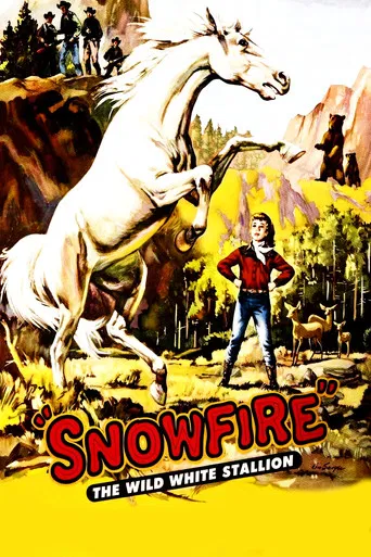 Snowfire poster