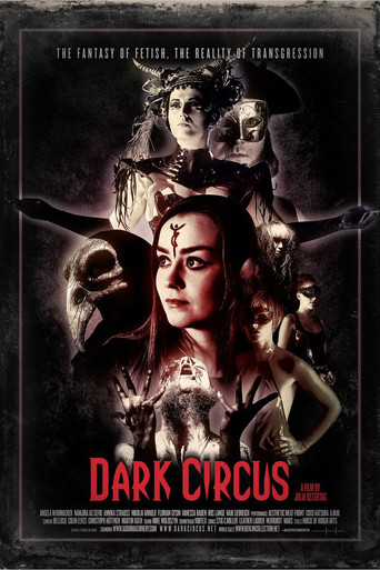 Dark Circus poster