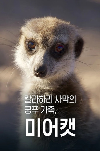 칼라하리 사막의 쿵푸 가족, 미어캣 poster