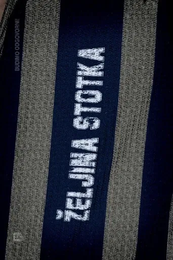 Zeljo's Hundred poster