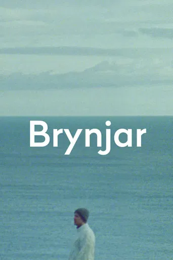 Brynjar poster
