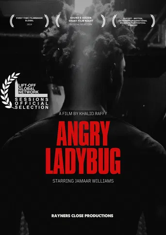 Angry Ladybug poster