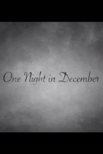 One Night in December poster
