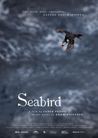 Seabird poster