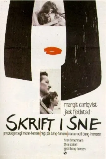 Skrift i sne poster