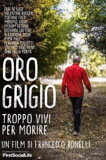 Oro grigio - Troppo vivi per morire poster