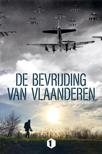 De bevrijding van Vlaanderen poster