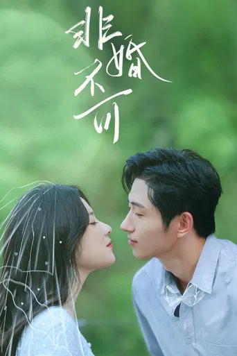 非婚不可 poster