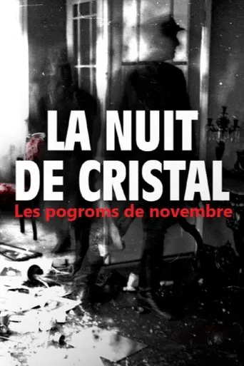 La Nuit de cristal : Les pogroms de novembre poster