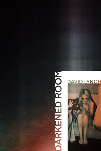 Darkened Room poster