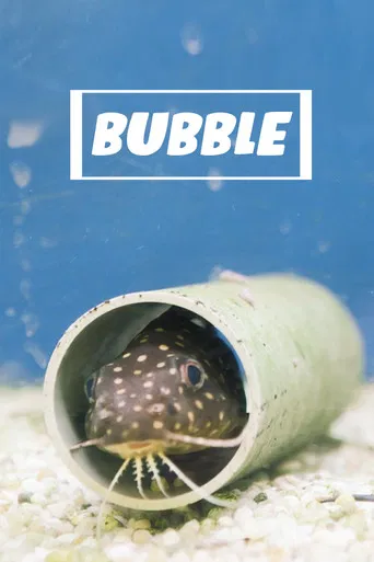 Bubble poster