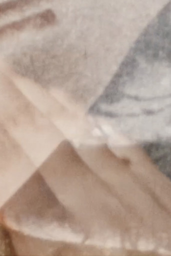 Selbstportrait und vice versa poster