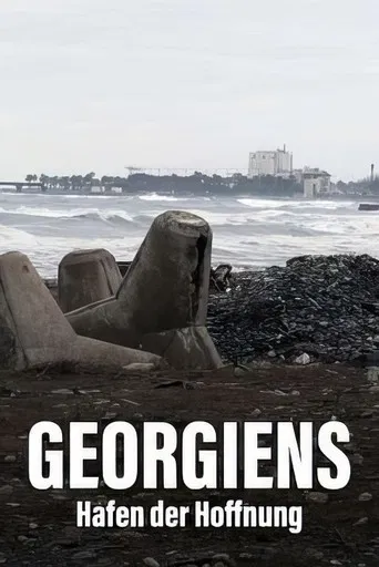 Géorgie - Le port de tous les enjeux poster