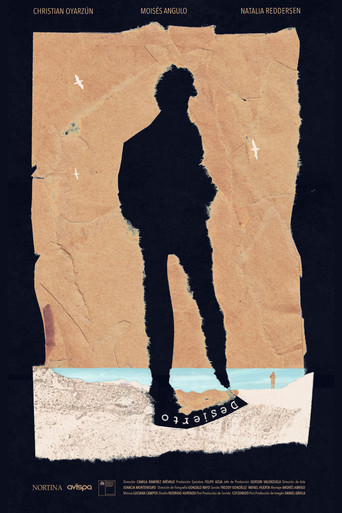 Desierto poster
