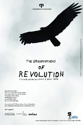 The Grandmothers of the Revolution poster