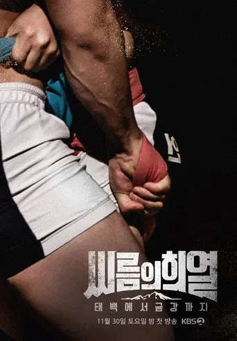 씨름의 희열 - 태백에서 금강까지 poster