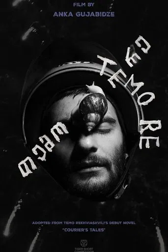Temo Re poster