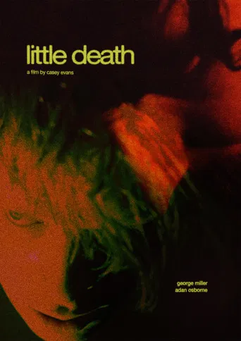 Little Death poster