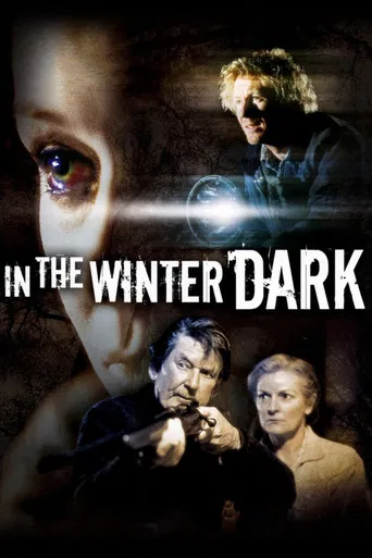 In the Winter Dark poster