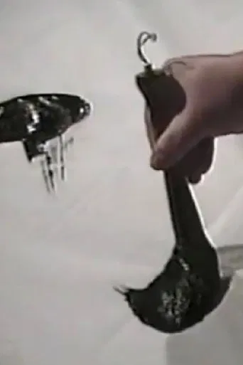 Zen, in Search of Enlightenment poster