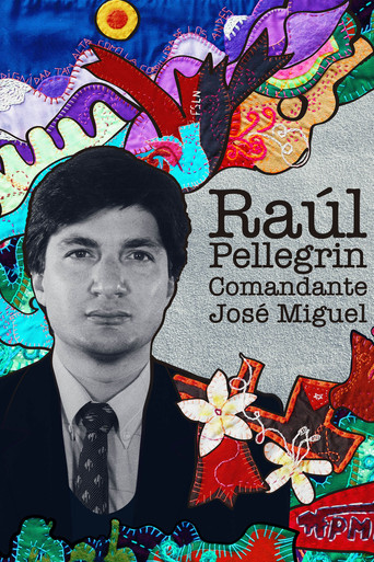 Raúl Pellegrin, Comandante José Miguel poster