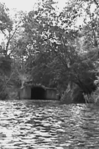 The Name is not the Thing named poster