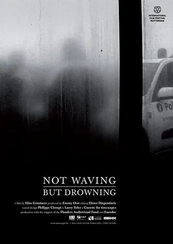 Not Waving, But Drowning poster
