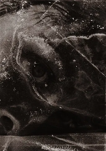 After Psycho Shower poster