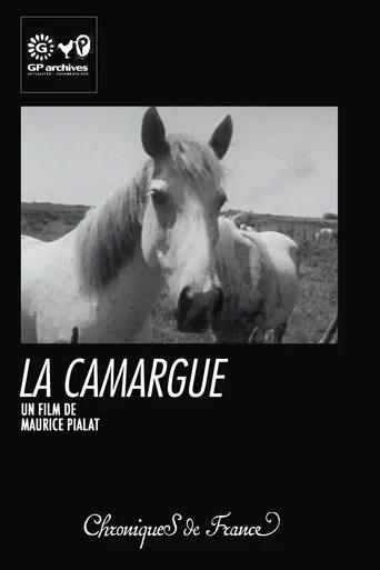 La Camargue poster