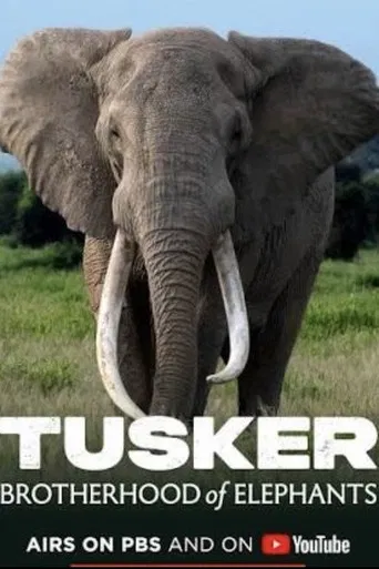 Tusker: Brotherhood of Elephants poster