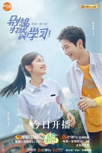 Don't Disturb My Study poster