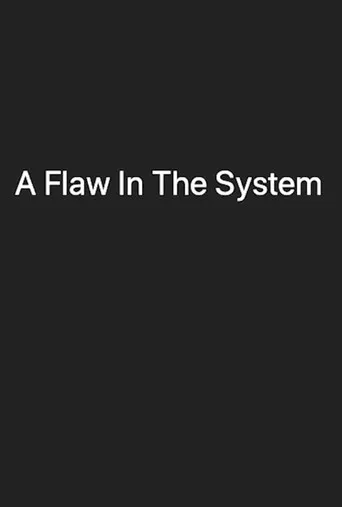 A Flaw In The System poster
