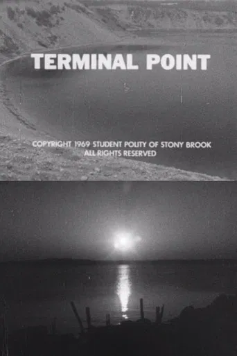 Terminal Point poster