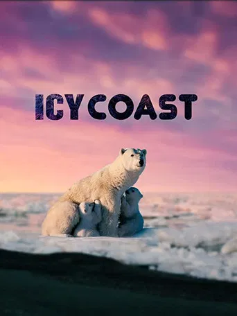 Icy Coasts poster