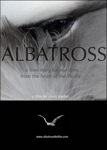 Albatross poster