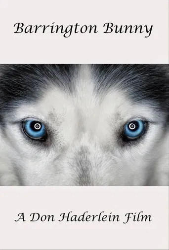 Barrington Bunny poster