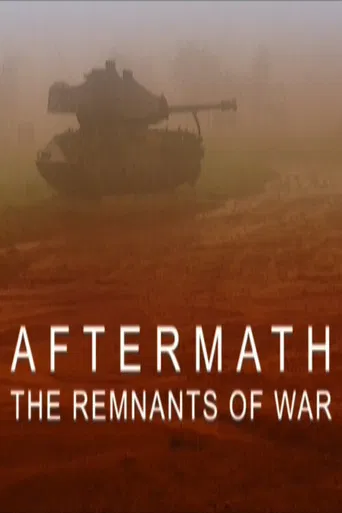 Aftermath: The Remnants of War poster