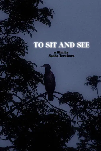 To Sit and See poster