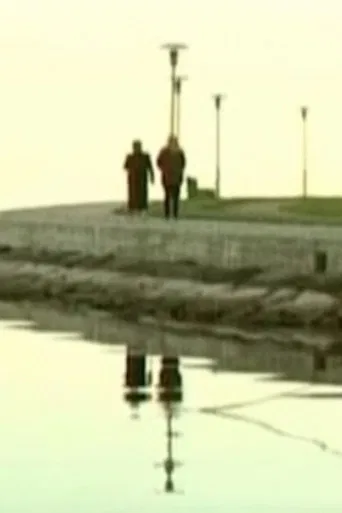 Widow’s Coast poster