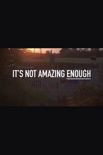 It's Not Amazing Enough poster