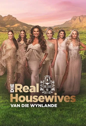 Die Real Housewives van die Wynlande poster