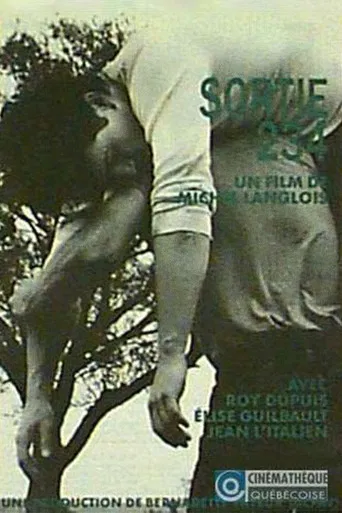 Sortie 234 poster