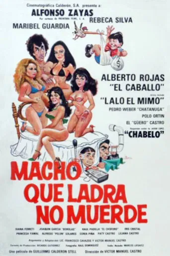 Macho que ladra no muerde poster