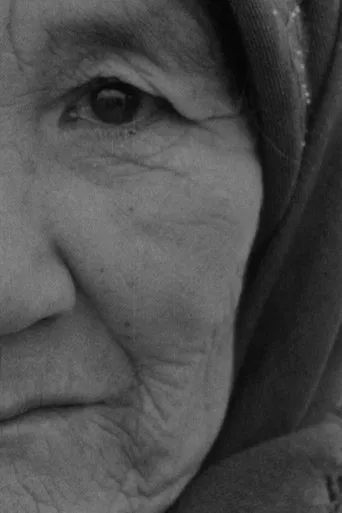 In Memoriam László Mészáros poster