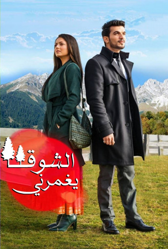 Pardes Mein Hai Mera Dil poster