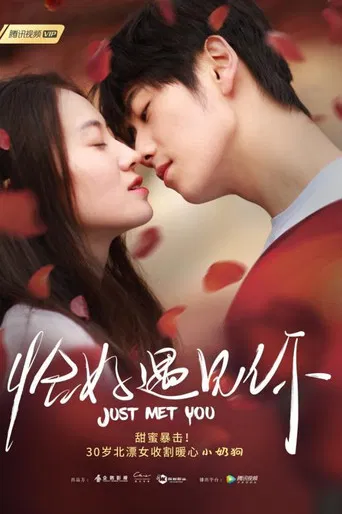 Just Met You poster